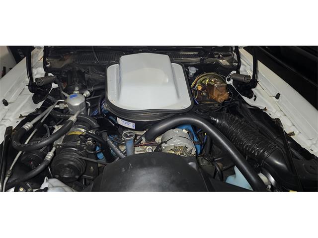 1979 Pontiac Firebird (CC-2083774) for sale in St. Marys, Georgia