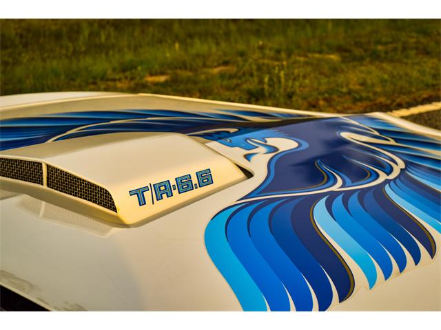 1979 Pontiac Firebird (CC-2083774) for sale in St. Marys, Georgia