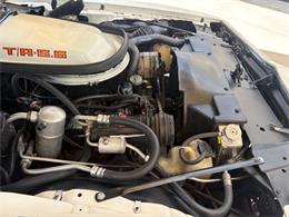 1979 Pontiac Firebird (CC-2083820) for sale in Bradenton, Florida