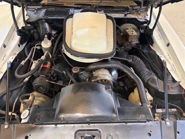 1979 Pontiac Firebird (CC-2083820) for sale in Bradenton, Florida