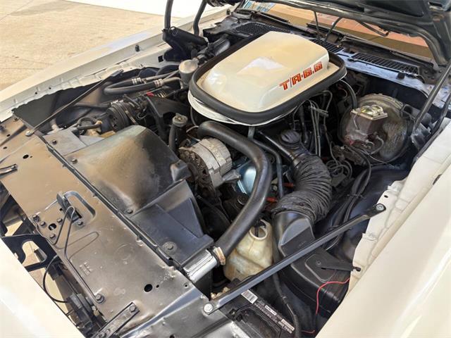 1979 Pontiac Firebird (CC-2083820) for sale in Bradenton, Florida