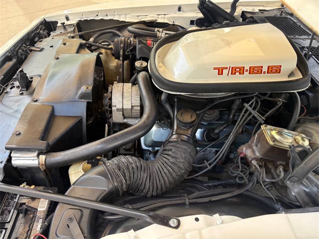 1979 Pontiac Firebird (CC-2083820) for sale in Bradenton, Florida