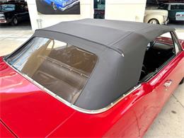 1967 Oldsmobile Cutlass Supreme (CC-2083829) for sale in Bradenton, Florida