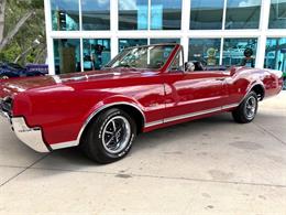 1967 Oldsmobile Cutlass Supreme (CC-2083829) for sale in Bradenton, Florida