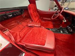 1982 Chevrolet Corvette (CC-2083833) for sale in Bradenton, Florida