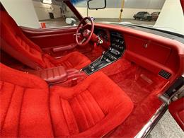 1982 Chevrolet Corvette (CC-2083833) for sale in Bradenton, Florida