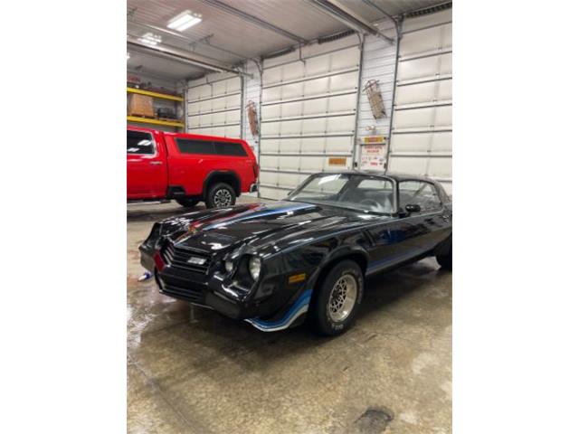 1981 Chevrolet Camaro (CC-2083835) for sale in Cadillac, Michigan