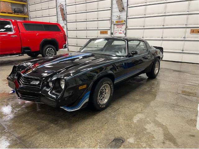 1981 Chevrolet Camaro (CC-2083835) for sale in Cadillac, Michigan
