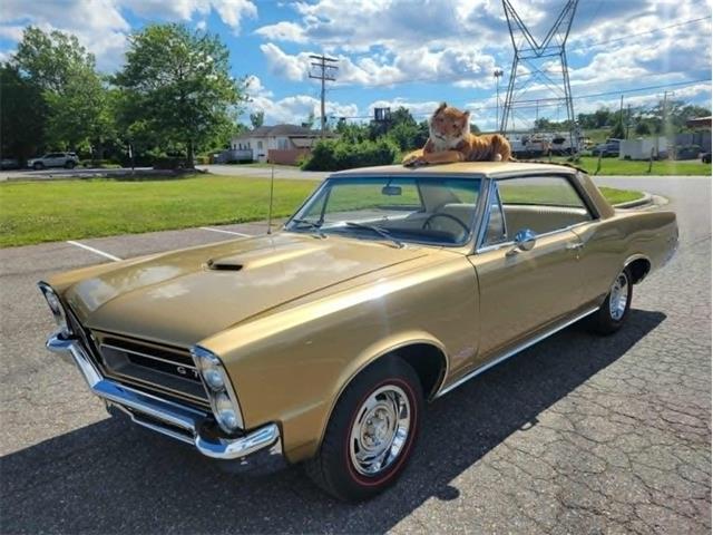 1965 Pontiac GTO (CC-2083844) for sale in Greensboro, North Carolina
