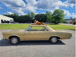 1965 Pontiac GTO (CC-2083844) for sale in Greensboro, North Carolina