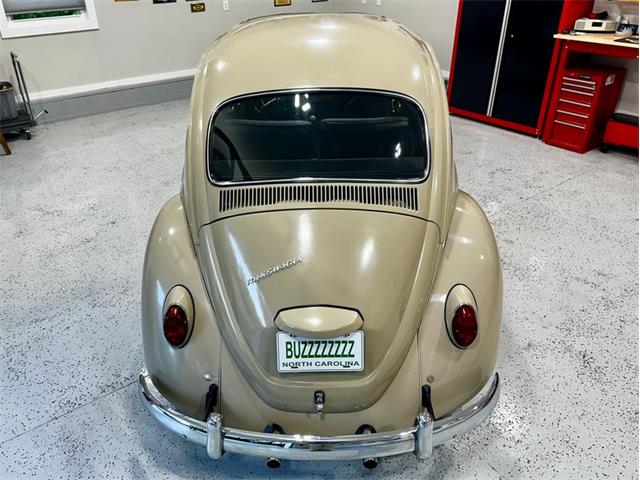 1967 Volkswagen Beetle (CC-2083846) for sale in Greensboro, North Carolina
