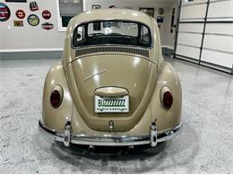 1967 Volkswagen Beetle (CC-2083846) for sale in Greensboro, North Carolina