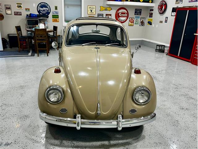 1967 Volkswagen Beetle (CC-2083846) for sale in Greensboro, North Carolina