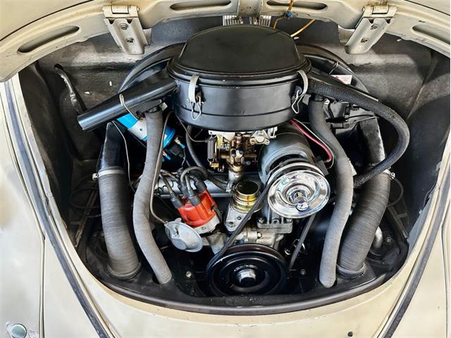 1967 Volkswagen Beetle (CC-2083846) for sale in Greensboro, North Carolina