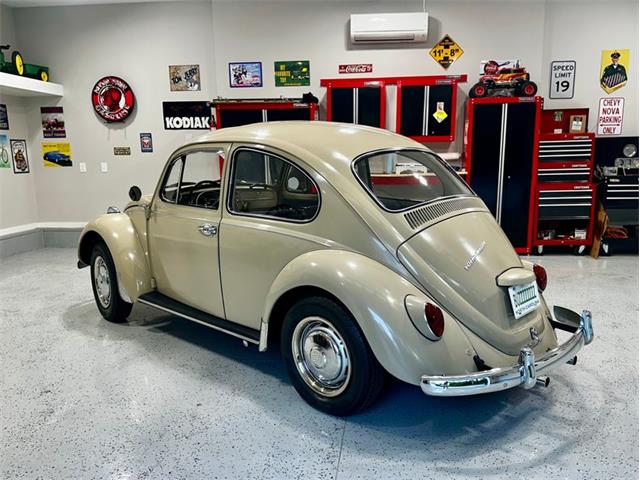 1967 Volkswagen Beetle (CC-2083846) for sale in Greensboro, North Carolina