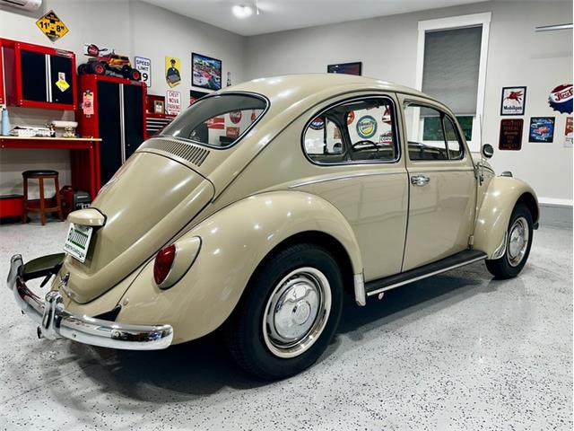 1967 Volkswagen Beetle (CC-2083846) for sale in Greensboro, North Carolina