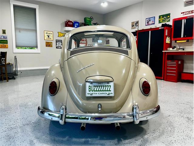 1967 Volkswagen Beetle (CC-2083846) for sale in Greensboro, North Carolina