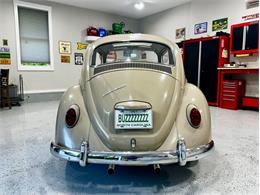 1967 Volkswagen Beetle (CC-2083846) for sale in Greensboro, North Carolina
