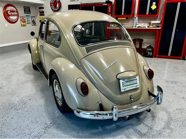 1967 Volkswagen Beetle (CC-2083846) for sale in Greensboro, North Carolina