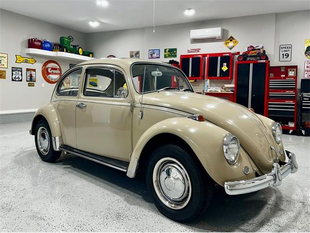 1967 Volkswagen Beetle (CC-2083846) for sale in Greensboro, North Carolina