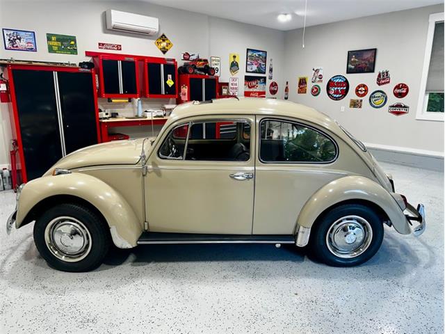 1967 Volkswagen Beetle (CC-2083846) for sale in Greensboro, North Carolina