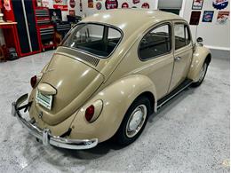 1967 Volkswagen Beetle (CC-2083846) for sale in Greensboro, North Carolina