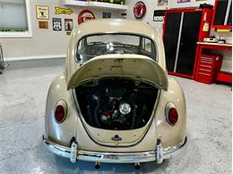 1967 Volkswagen Beetle (CC-2083846) for sale in Greensboro, North Carolina