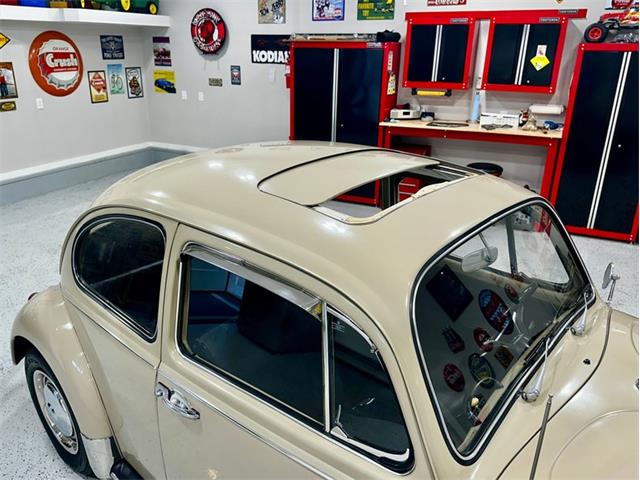 1967 Volkswagen Beetle (CC-2083846) for sale in Greensboro, North Carolina