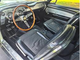 1967 Ford Shelby GT500  (CC-2083849) for sale in Greensboro, North Carolina