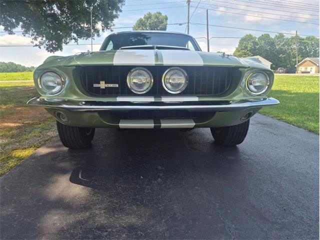 1967 Ford Shelby GT500  (CC-2083849) for sale in Greensboro, North Carolina