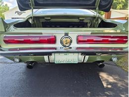 1967 Ford Shelby GT500  (CC-2083849) for sale in Greensboro, North Carolina