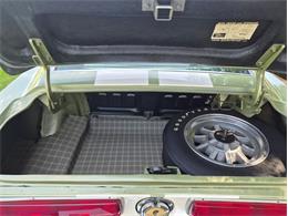 1967 Ford Shelby GT500  (CC-2083849) for sale in Greensboro, North Carolina