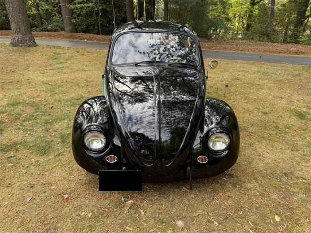 1967 Volkswagen Beetle (CC-2083853) for sale in Greensboro, North Carolina