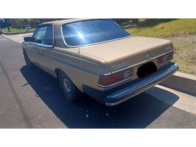 1980 Mercedes-Benz 300CD (CC-2083855) for sale in Cadillac, Michigan