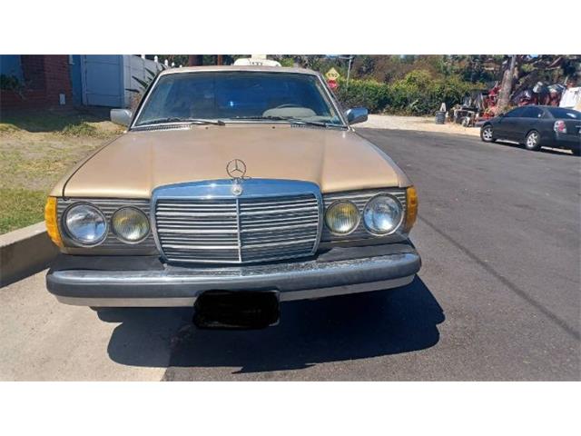 1980 Mercedes-Benz 300CD (CC-2083855) for sale in Cadillac, Michigan