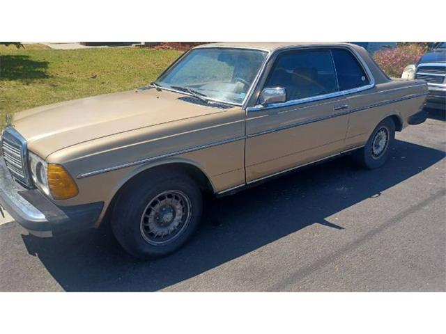 1980 Mercedes-Benz 300CD (CC-2083855) for sale in Cadillac, Michigan