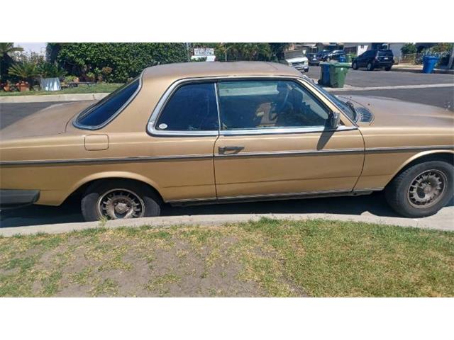 1980 Mercedes-Benz 300CD (CC-2083855) for sale in Cadillac, Michigan