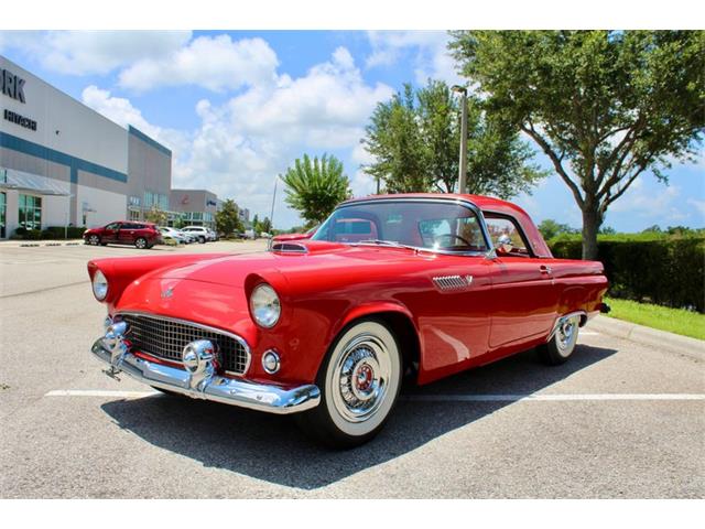 1955 Ford Thunderbird (CC-2083903) for sale in Sarasota, Florida