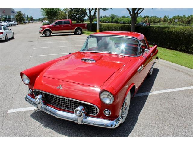 1955 Ford Thunderbird (CC-2083903) for sale in Sarasota, Florida