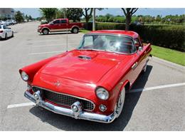 1955 Ford Thunderbird (CC-2083903) for sale in Sarasota, Florida