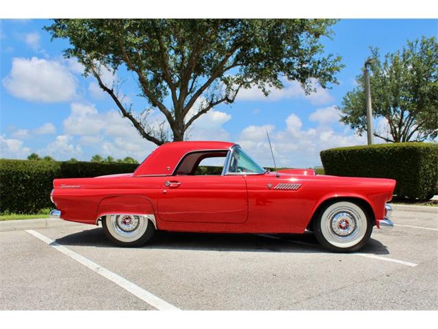 1955 Ford Thunderbird (CC-2083903) for sale in Sarasota, Florida