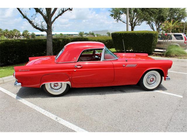 1955 Ford Thunderbird (CC-2083903) for sale in Sarasota, Florida