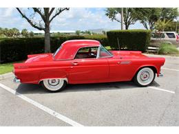 1955 Ford Thunderbird (CC-2083903) for sale in Sarasota, Florida