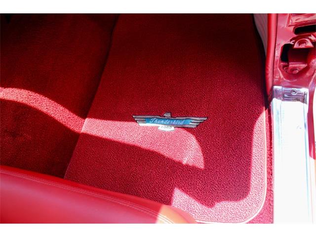 1955 Ford Thunderbird (CC-2083903) for sale in Sarasota, Florida