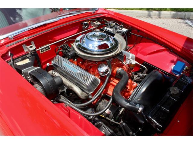 1955 Ford Thunderbird (CC-2083903) for sale in Sarasota, Florida