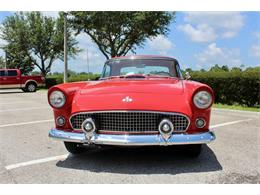 1955 Ford Thunderbird (CC-2083903) for sale in Sarasota, Florida