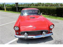 1955 Ford Thunderbird (CC-2083903) for sale in Sarasota, Florida