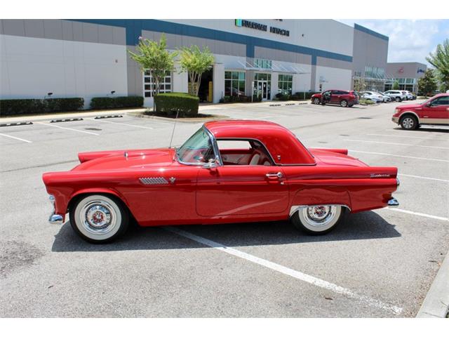1955 Ford Thunderbird (CC-2083903) for sale in Sarasota, Florida