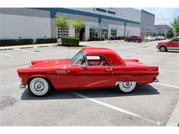 1955 Ford Thunderbird (CC-2083903) for sale in Sarasota, Florida