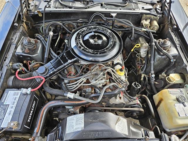 1985 Ford Thunderbird (CC-2083929) for sale in Salem, Ohio